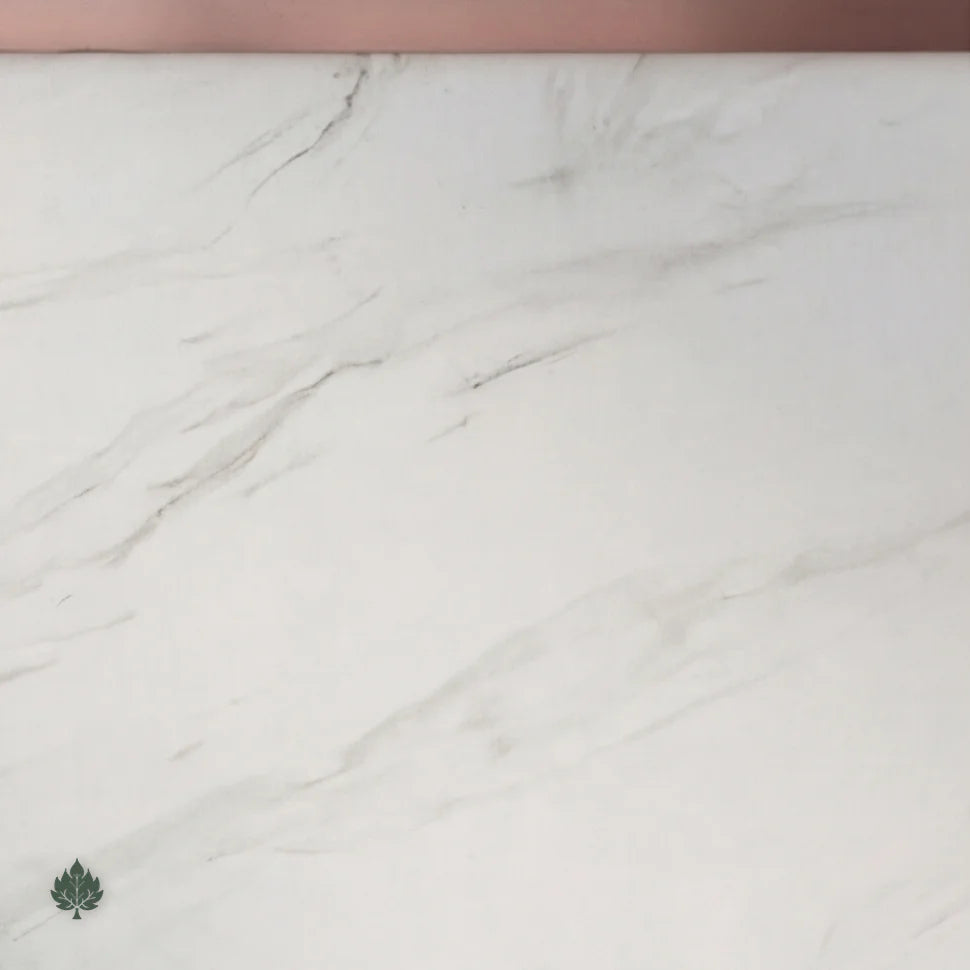 Hayes · Front Reception Desk