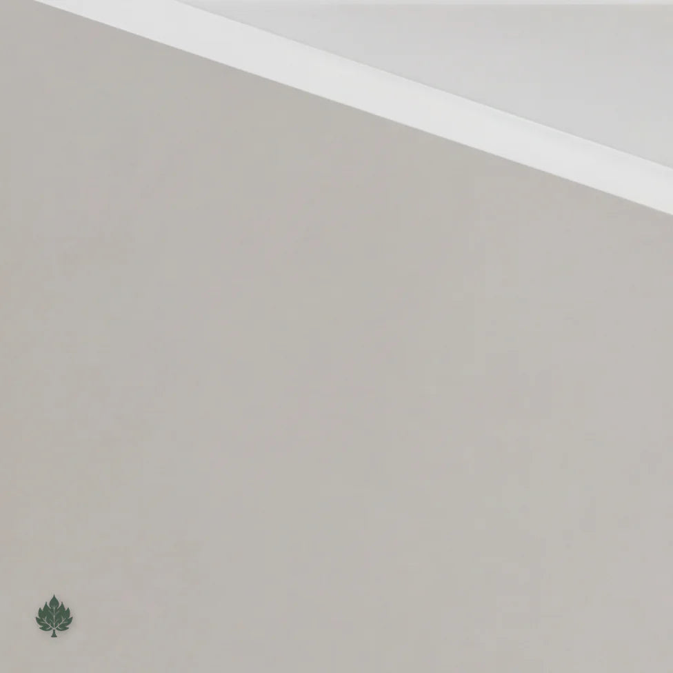 Lyssandra · Front Reception Desk