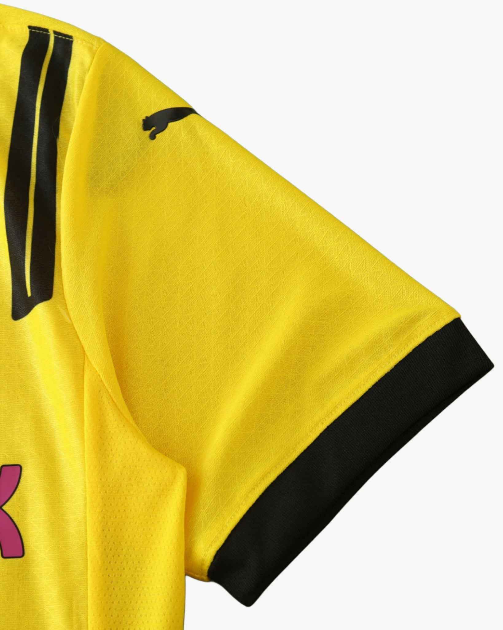 DORTMUND CHAMPIONS LEAGUE HOME 2024/25